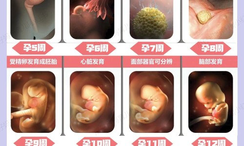 来大姨妈期间便秘-例假期间便秘怎么办网 - 经期便秘怎么调理 女性,月经期间便秘该怎么办
