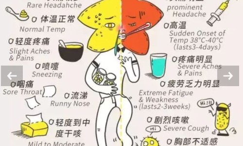来大姨妈期间便秘-例假期间便秘怎么办网 - 经期便秘怎么调理 女性,月经期间便秘该怎么办